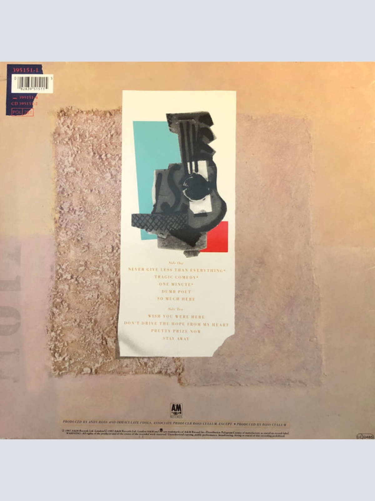 Vinyl / Immaculate Fools - Dumb Poet