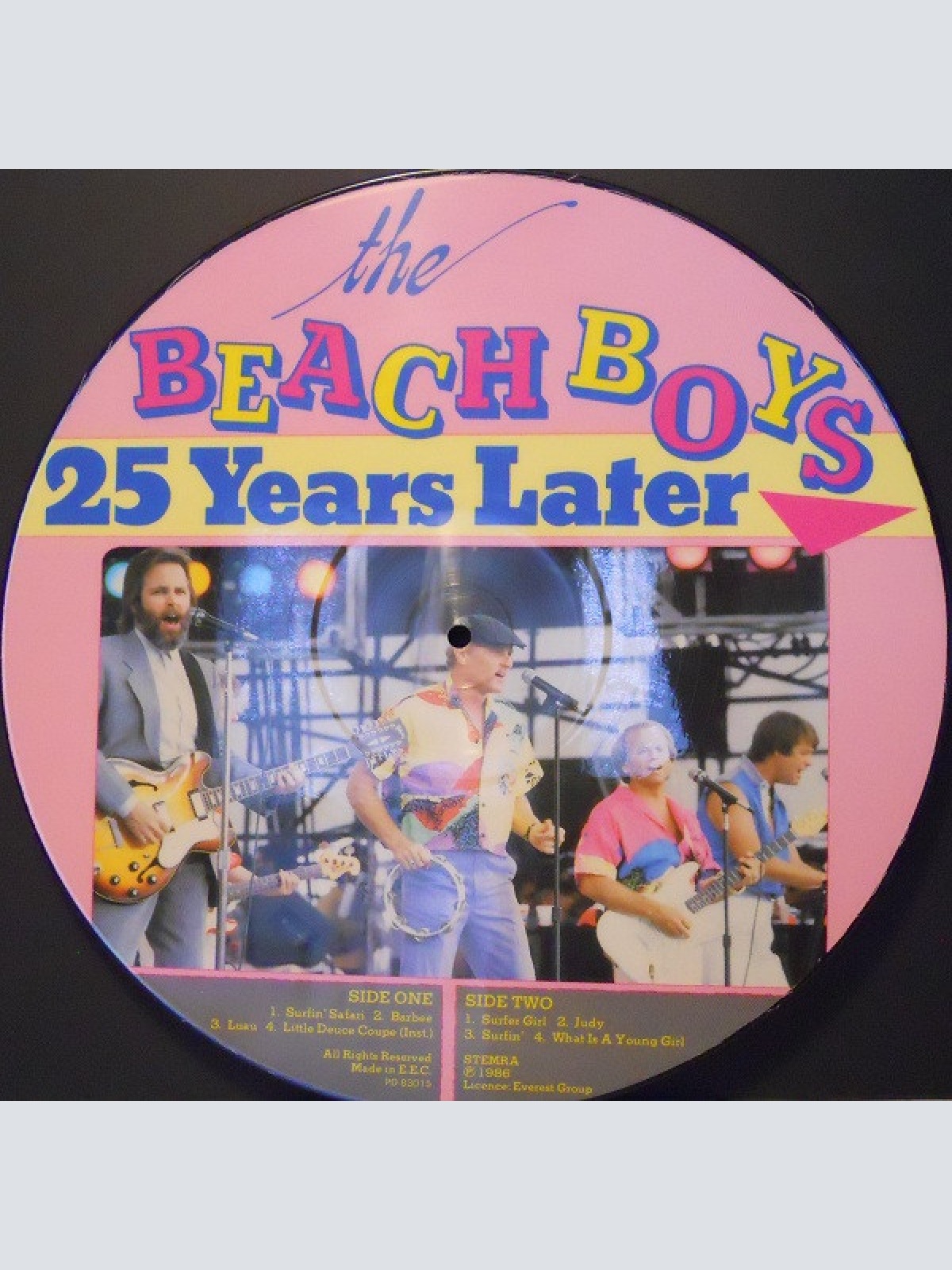 Vinyl / The Beach Boys - Surfin' Safari / 25 Years Later