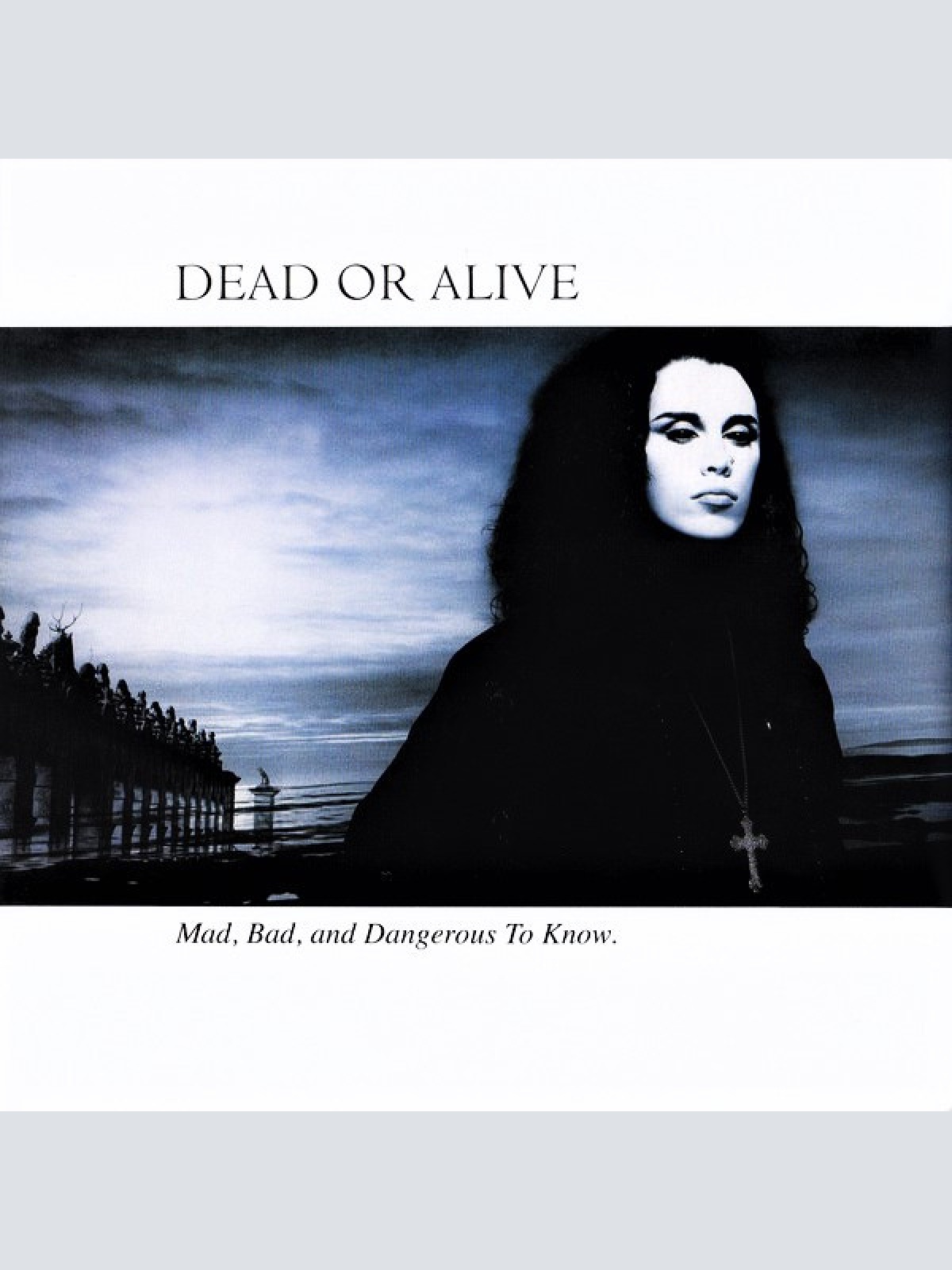 Vinyl / Dead Or Alive - Mad, Bad And Dangerous To Know