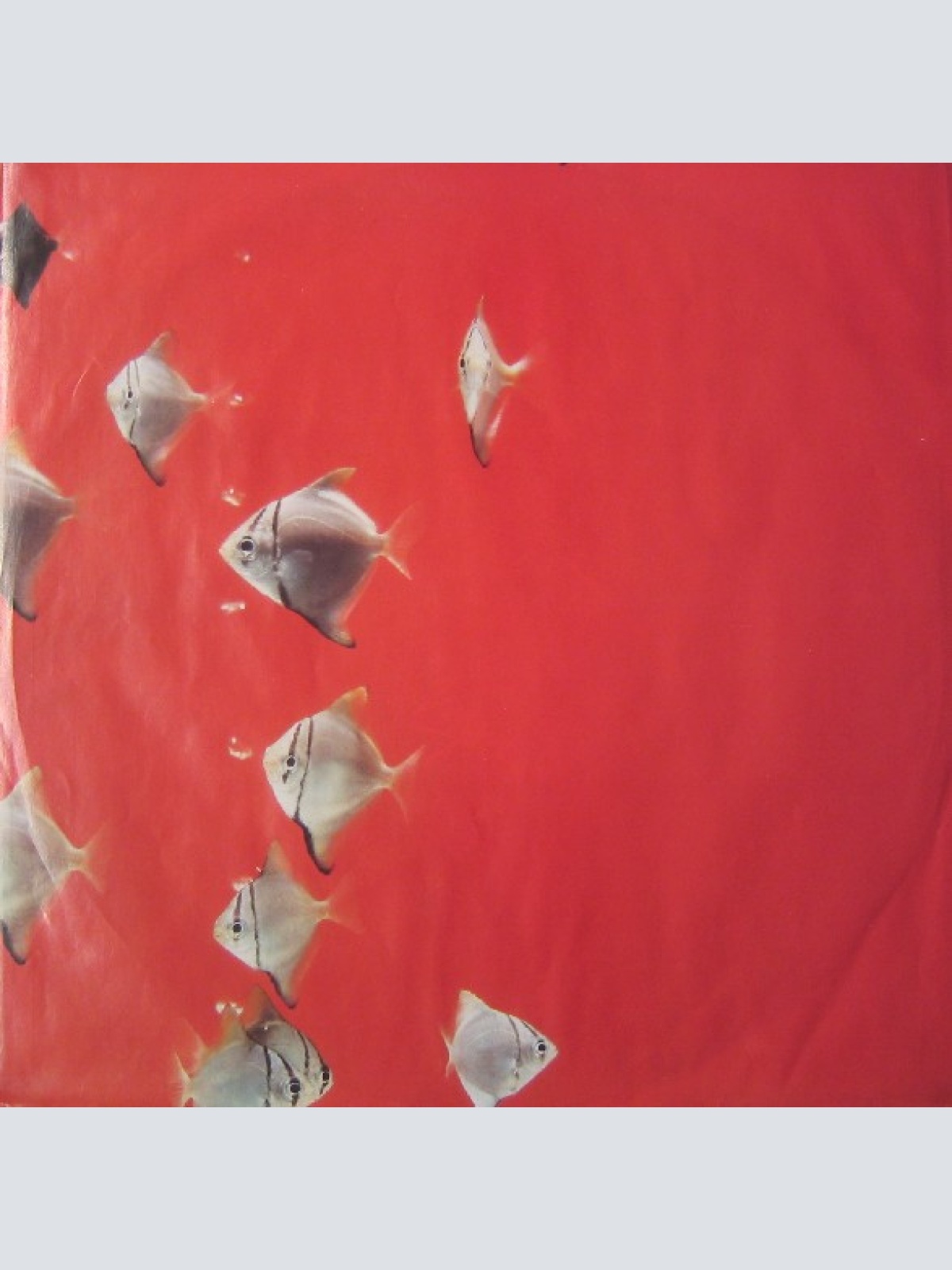 Vinyl / The Big Dish - Swimmer