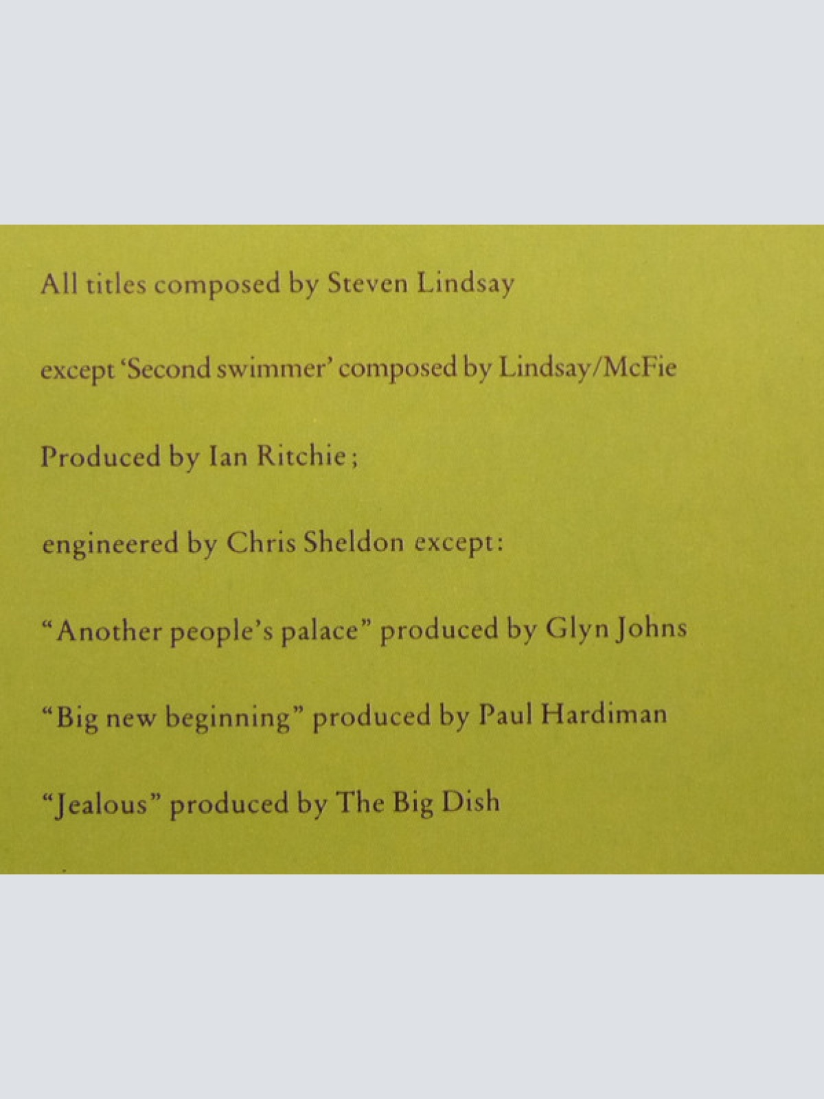 Vinyl / The Big Dish - Swimmer