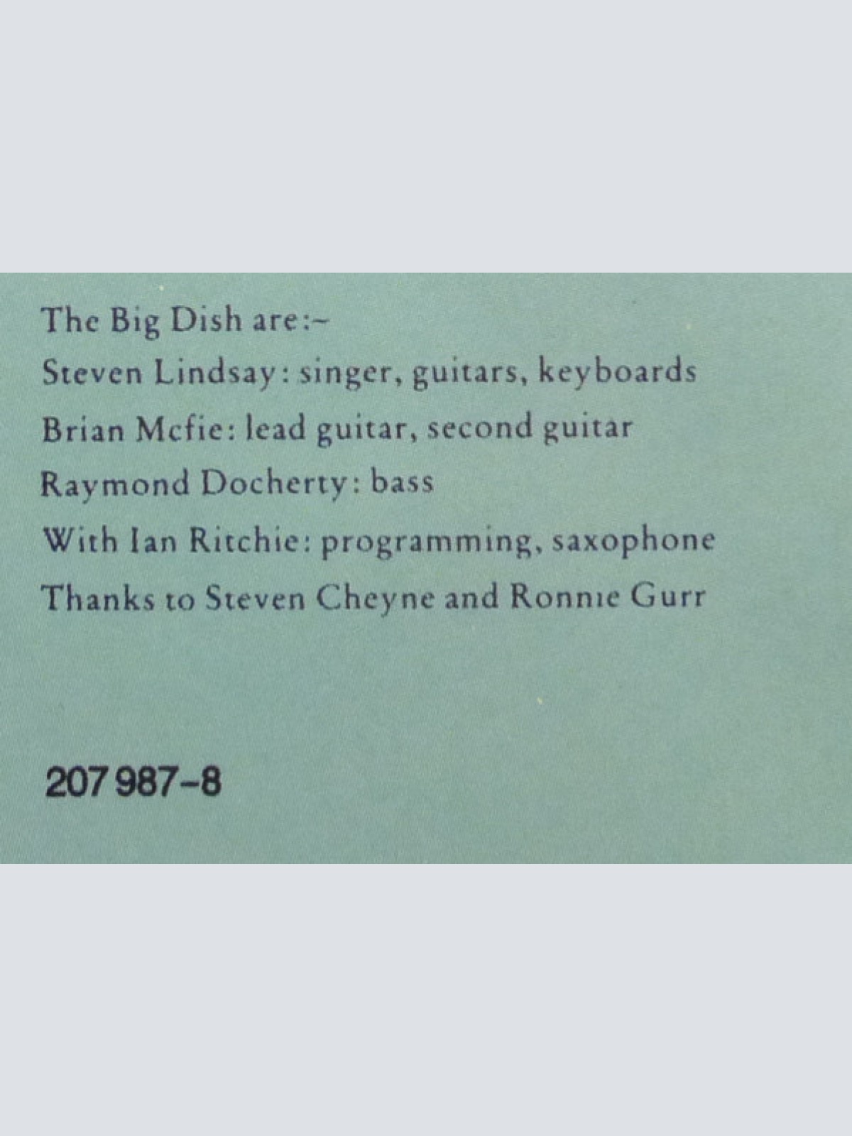 Vinyl / The Big Dish - Swimmer