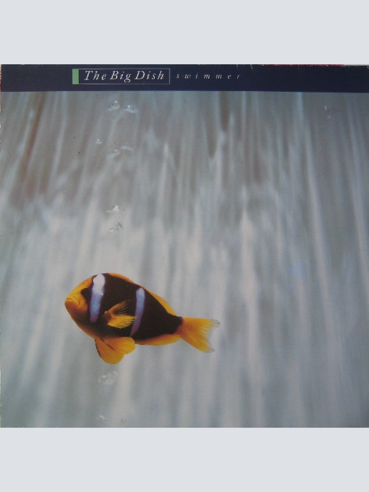 Vinyl / The Big Dish - Swimmer