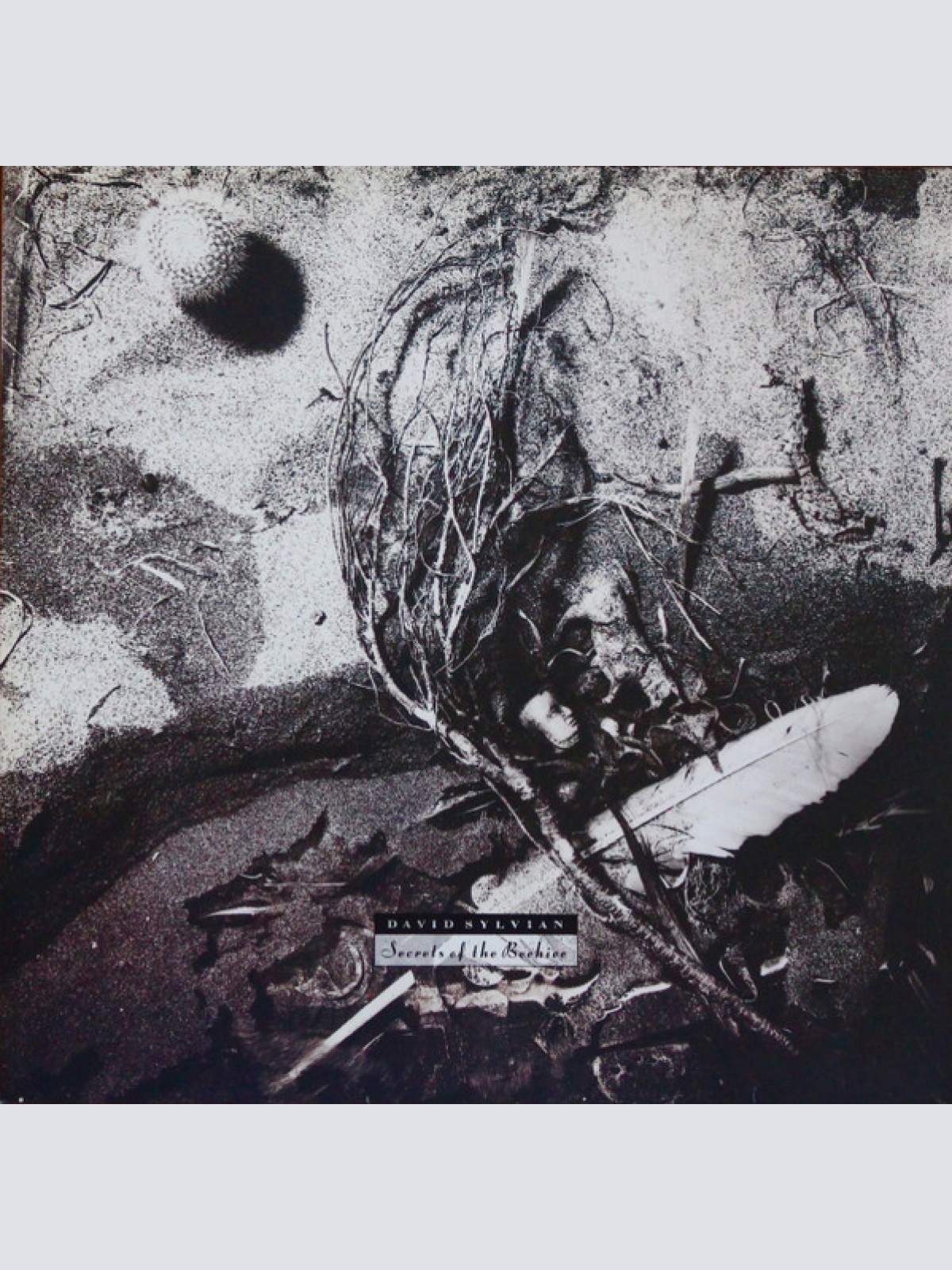 Vinyl / David Sylvian - Secrets Of The Beehive