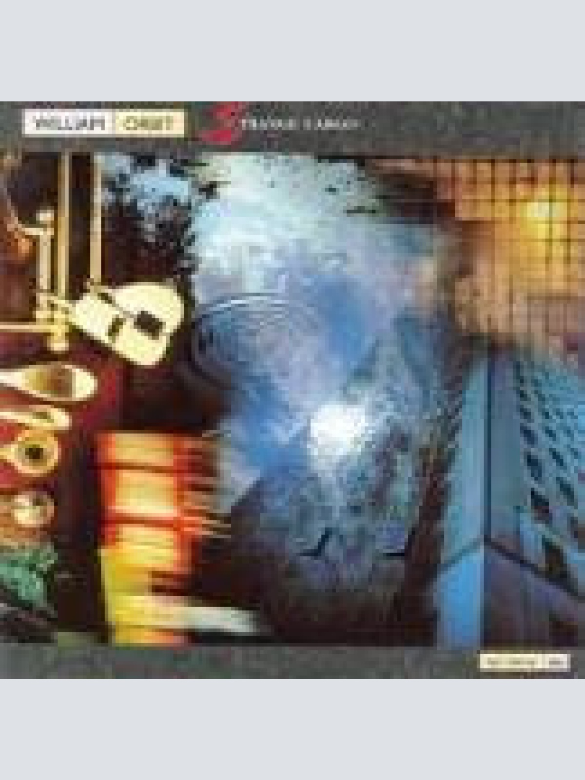 Vinyl / William Orbit - Strange Cargo