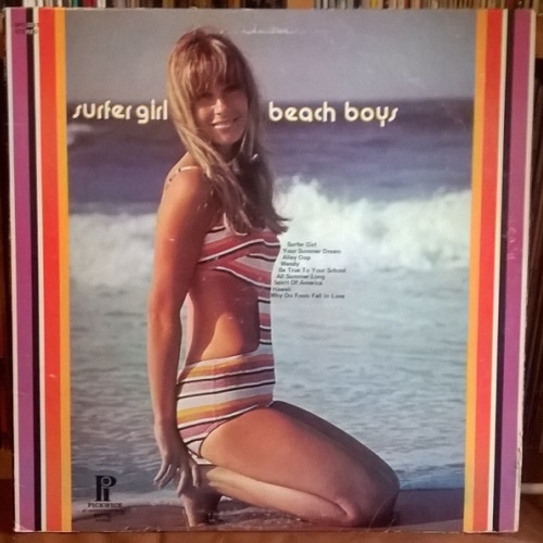 Vinyl / The Beach Boys - Surfer Girl