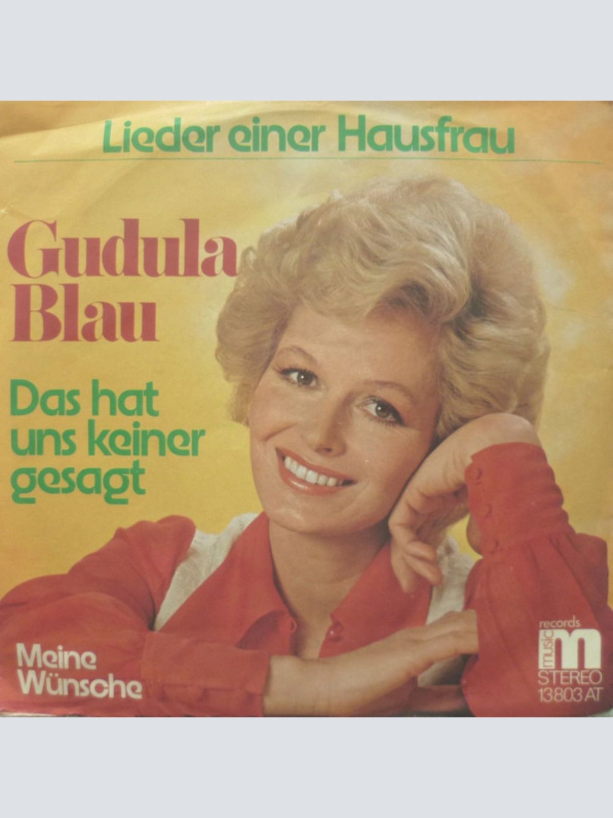 Vinyl / Gudula Blau - Das Hat Uns Keiner Gesagt