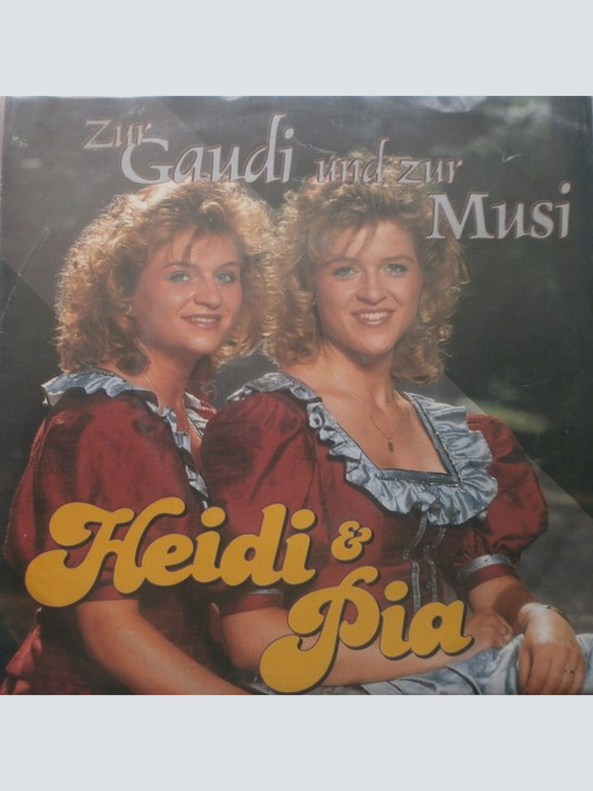 Vinyl / Heidi Und Pia - Zur Gaudi Und Zur Musi