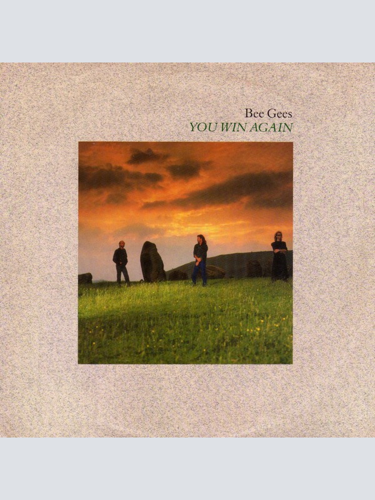 Vinyl / Bee Gees - You Win Again