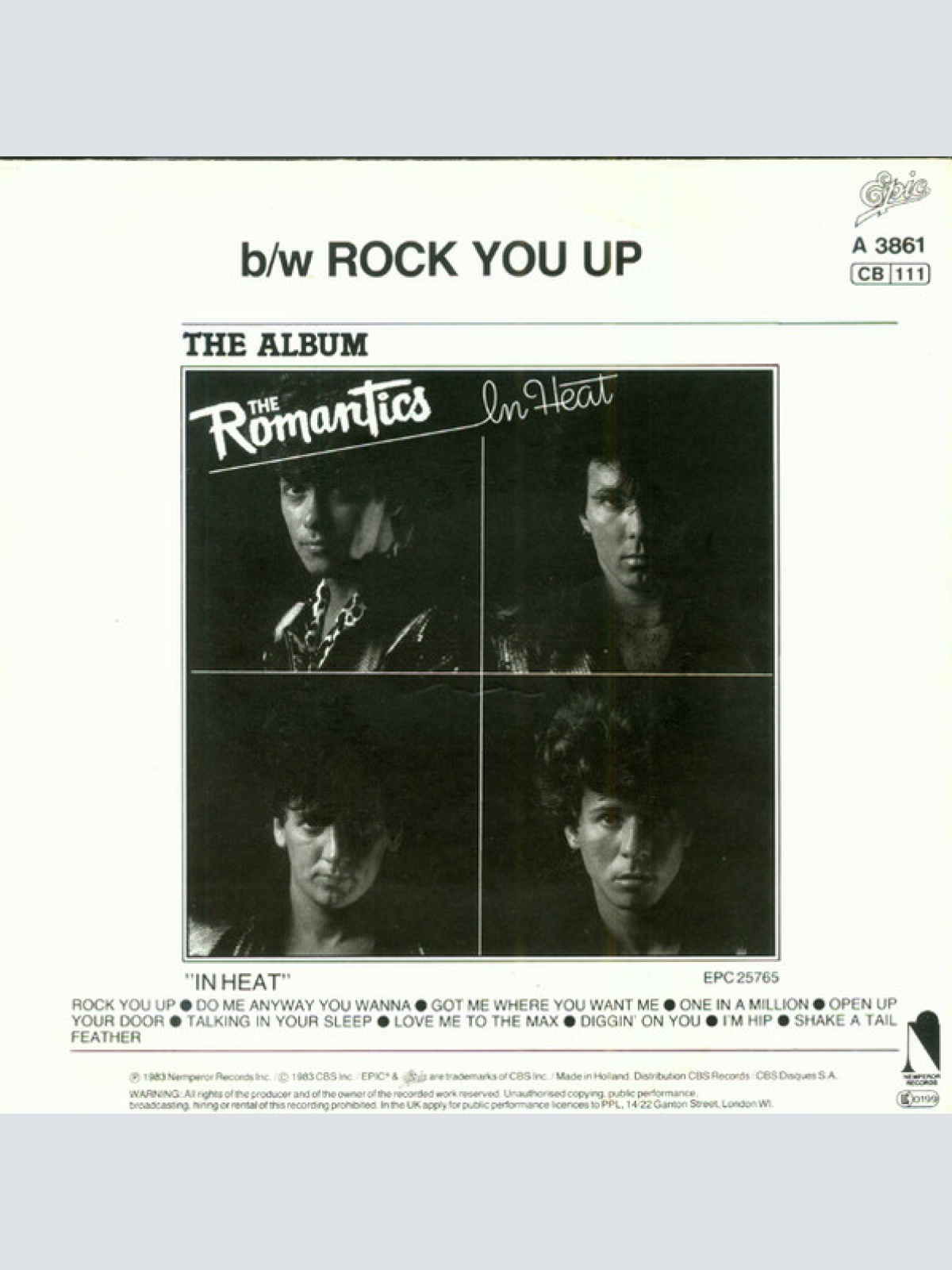 Vinyl / The Romantics - Talking In Your Sleep