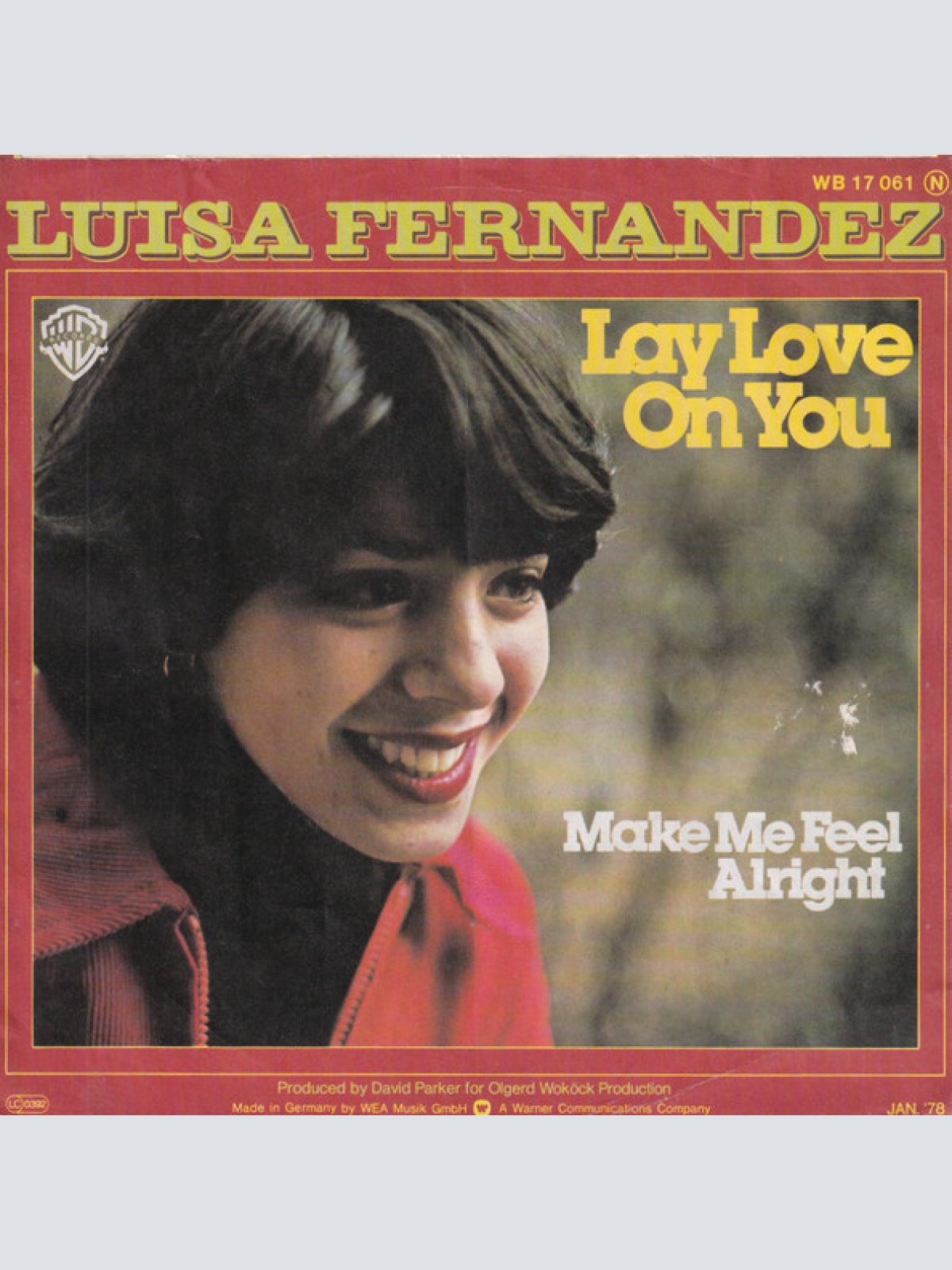Vinyl / Luisa Fernandez - Lay Love On You