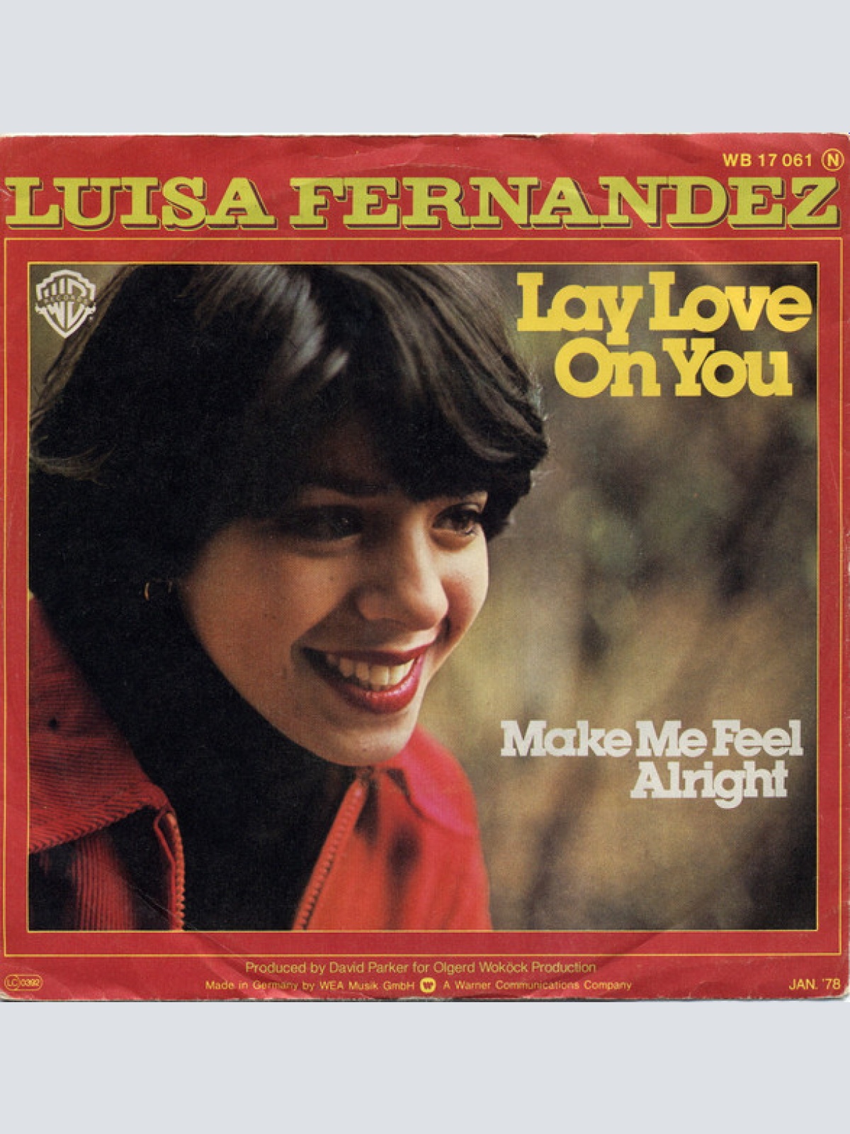 Vinyl / Luisa Fernandez - Lay Love On You