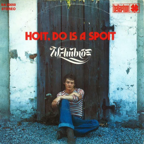 Vinyl / W. Ambros* - Hoit, Do Is A Spoit