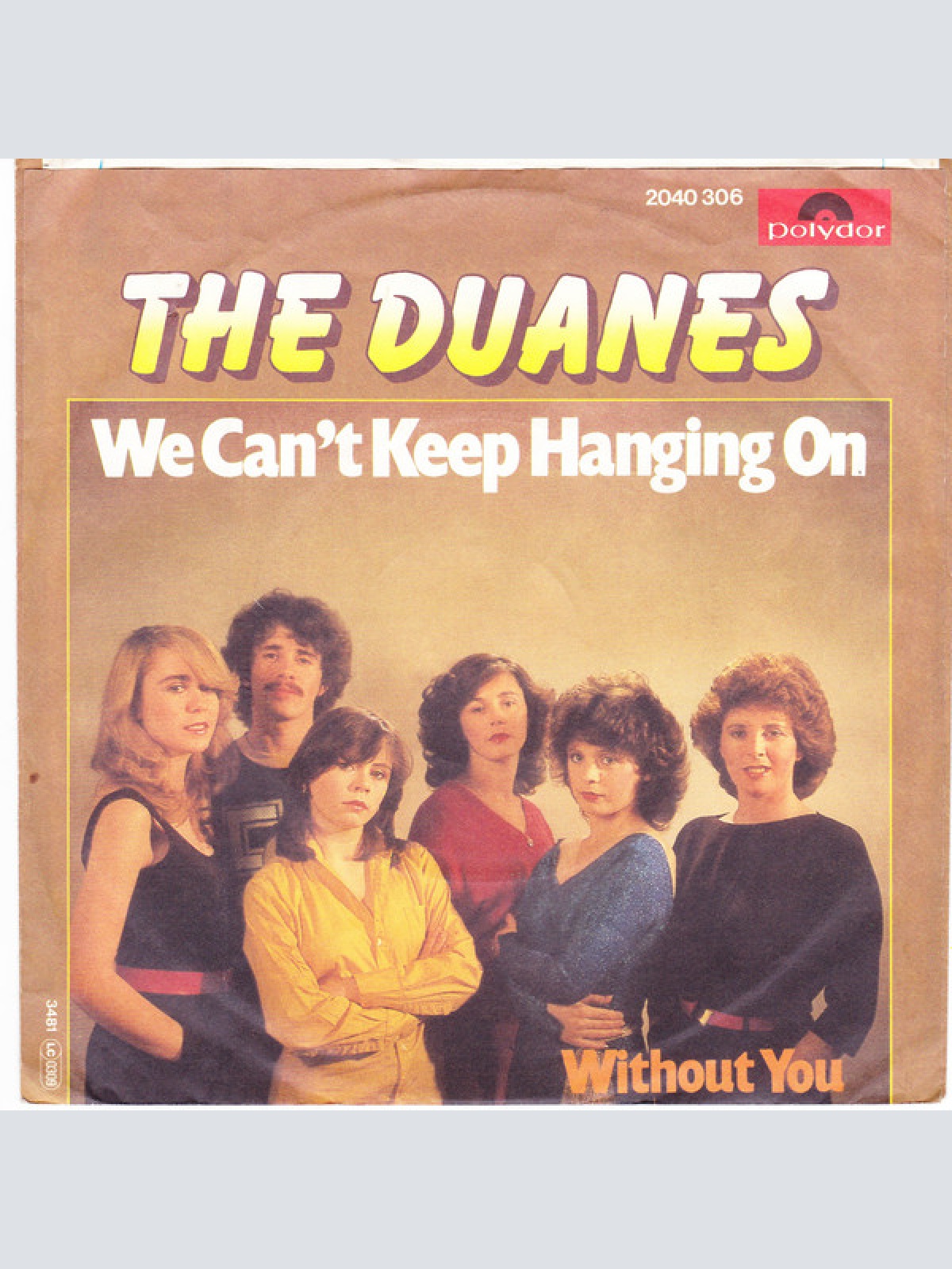 Vinyl / The Duanes - We Can't Keep Hanging On