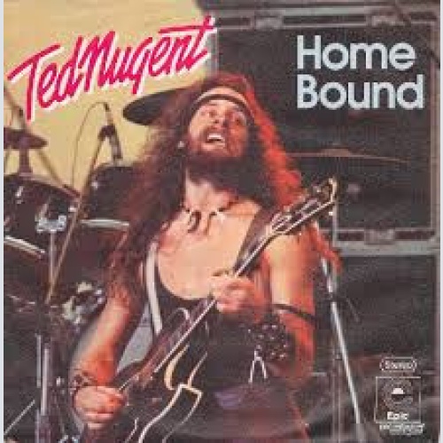 Vinyl / Ted Nugent - Home Bound