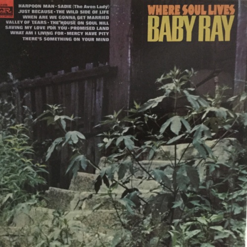 Vinyl / Baby Ray (2) - Where Soul Lives