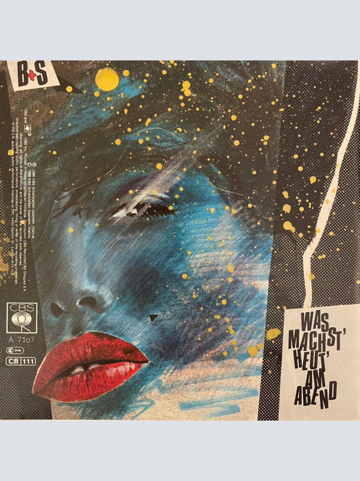 Vinyl / B+S - Was Machst´ Heut´ Am Abend