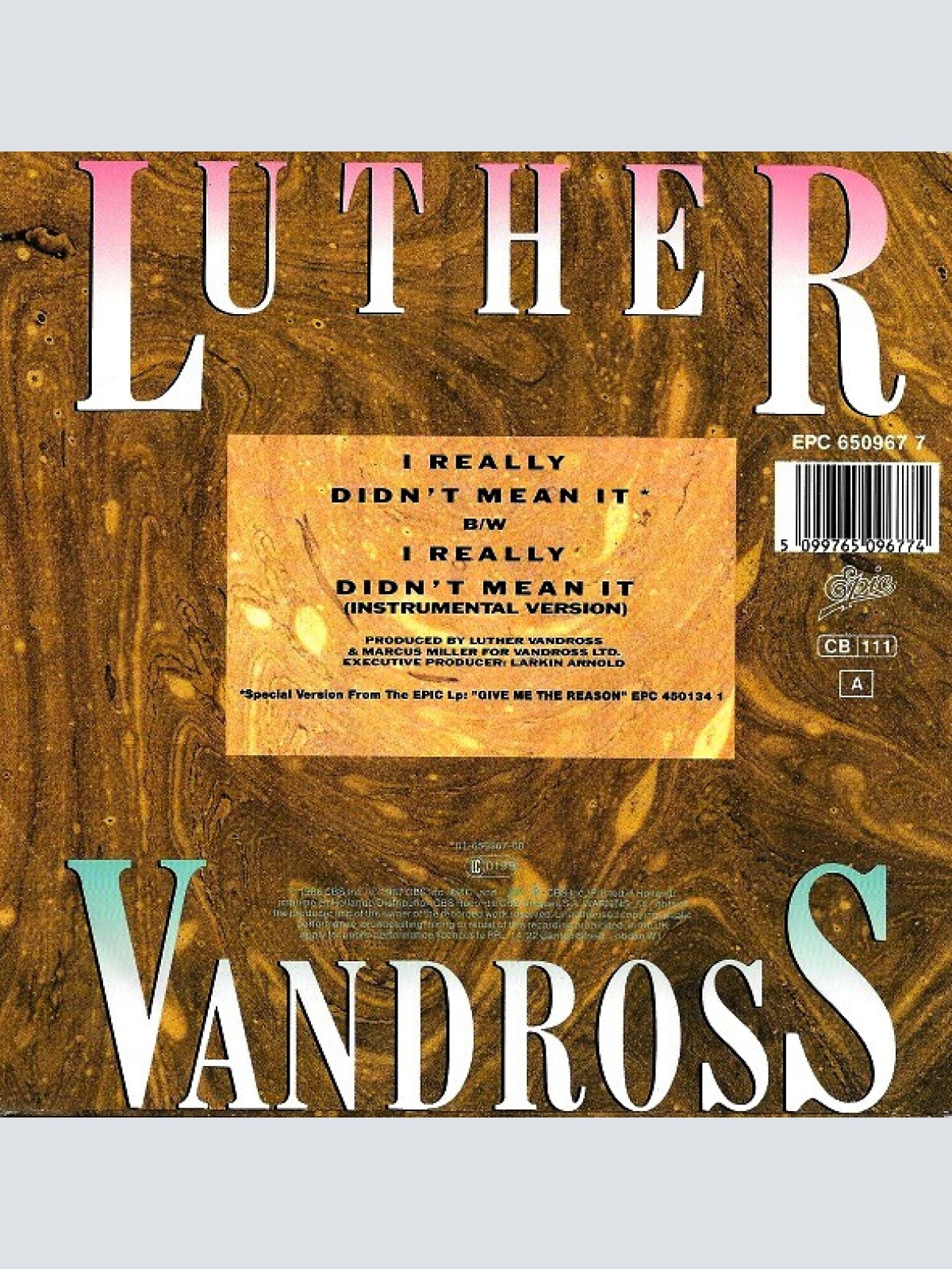 Vinyl / Luther Vandross - I Really Didn't Mean It