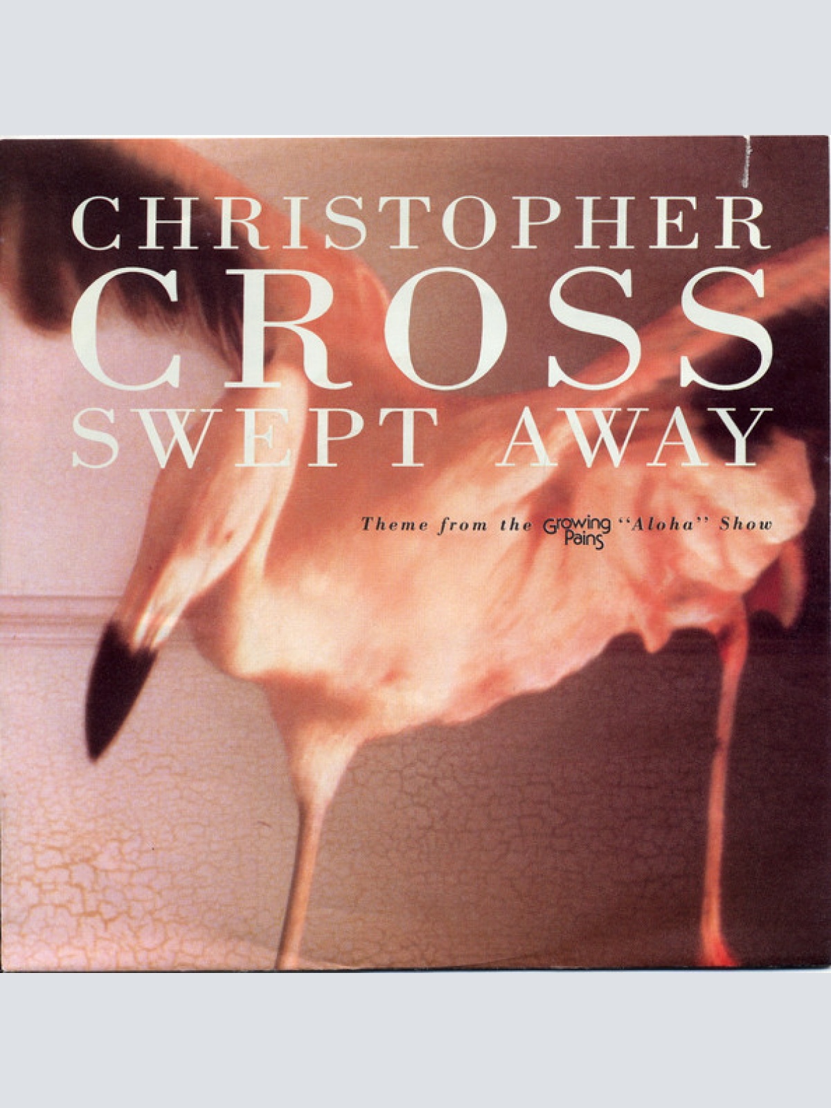 Vinyl / Christopher Cross - Swept Away