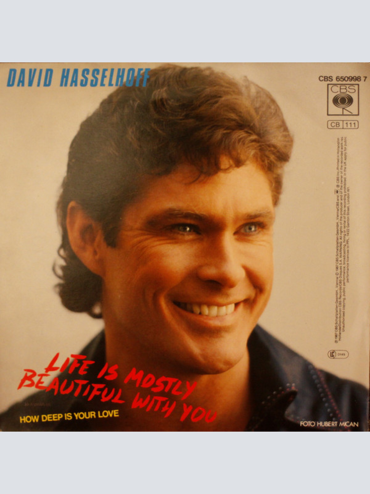 Vinyl / David Hasselhoff - Life Is Mostly Beautiful With You