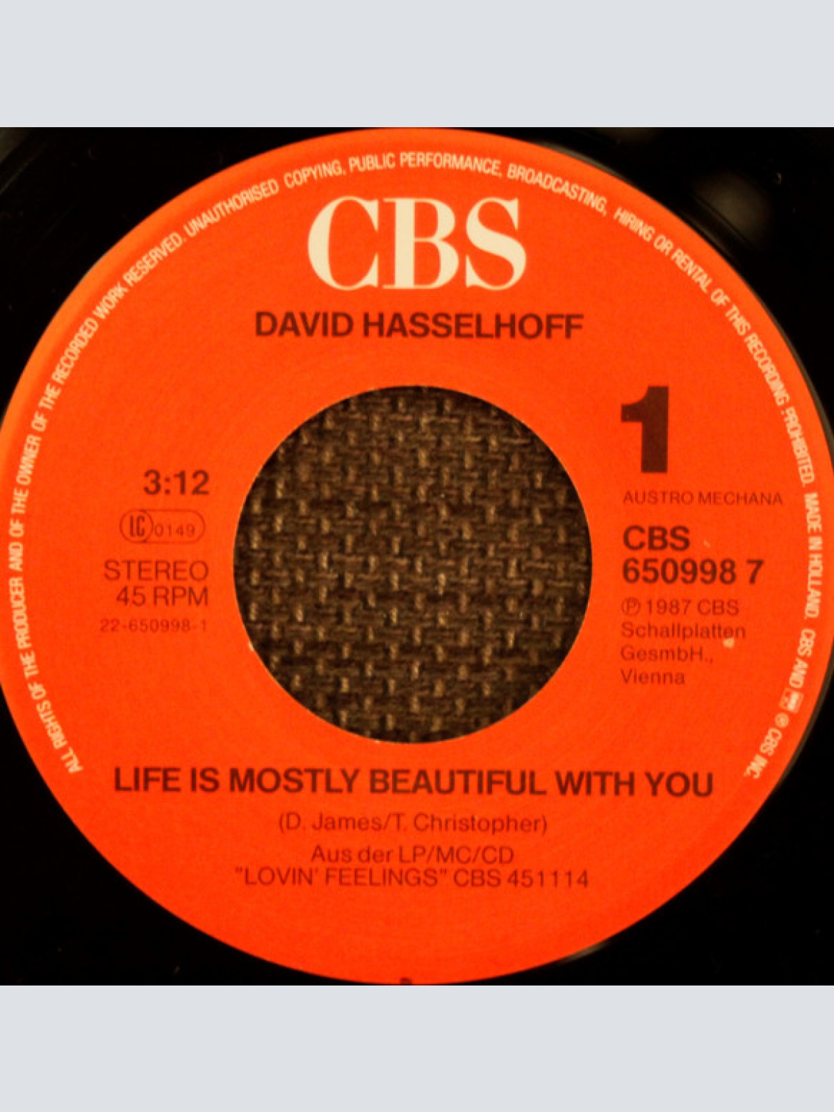 Vinyl / David Hasselhoff - Life Is Mostly Beautiful With You