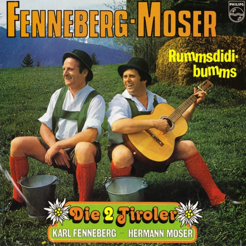 Vinyl / Die 2 Tiroler Karl Fenneberg ~ Hermann Moser* - Rummsdidi-bumms