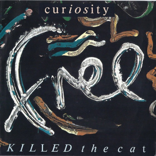Vinyl / Curiosity Killed The Cat - Free
