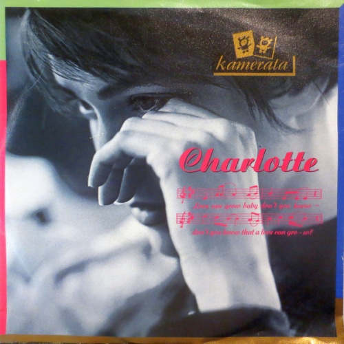Vinyl / Kamerata - Charlotte