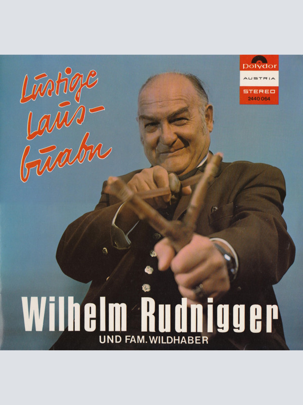 Vinyl / Wilhelm Rudnigger Und Fam. Wildhaber* - Lustige Lausbuabn