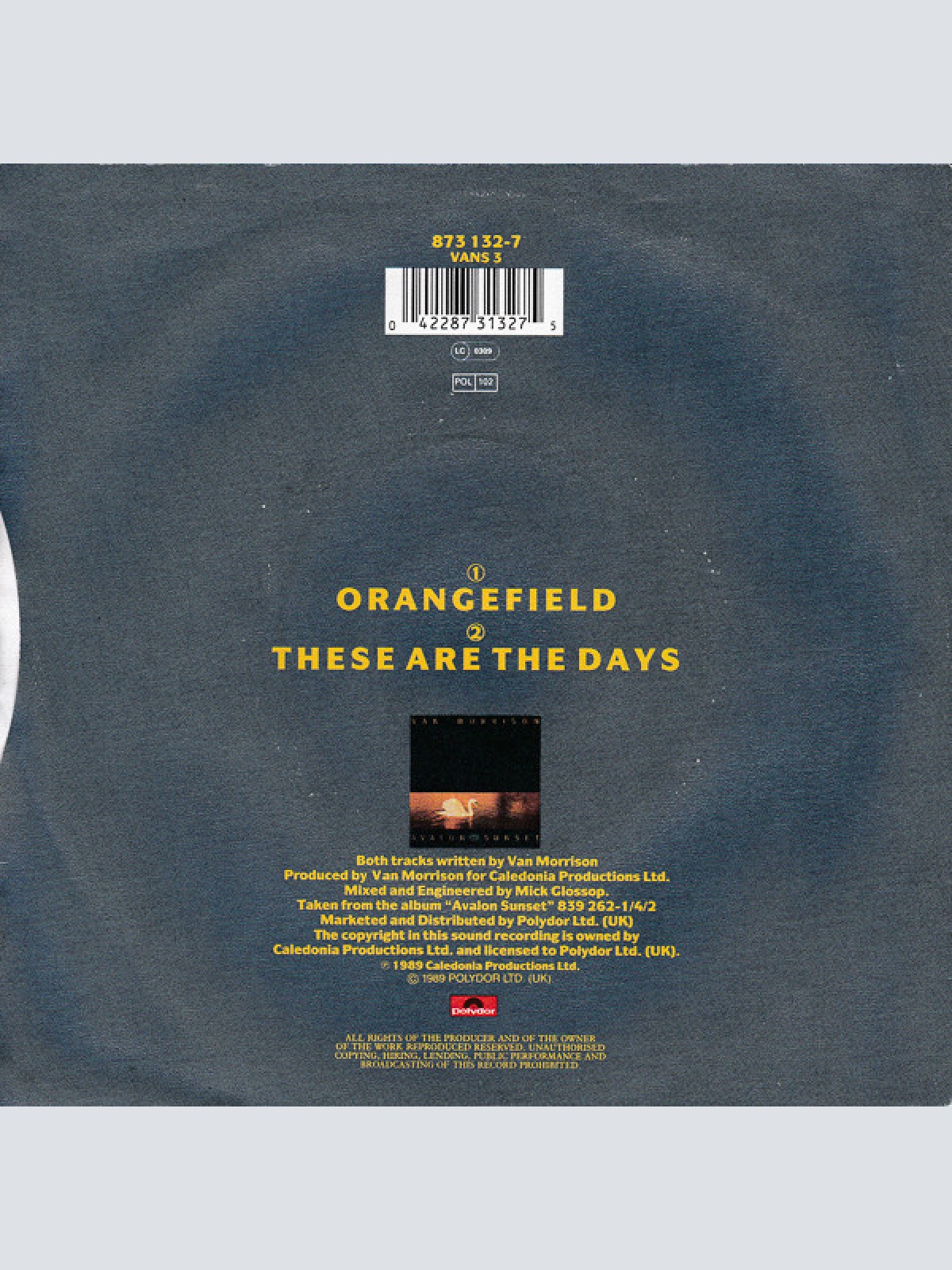Vinyl / Van Morrison - Orangefield