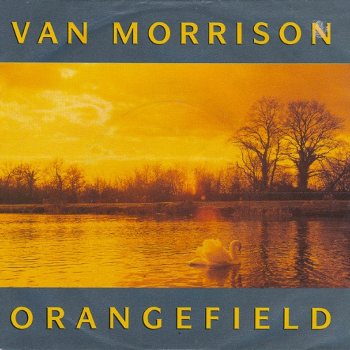 Vinyl / Van Morrison - Orangefield
