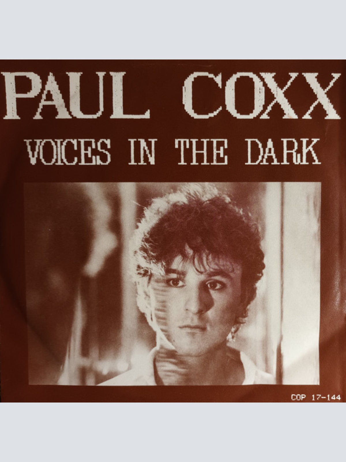 Vinyl / Paul Coxx - Voices In The Dark