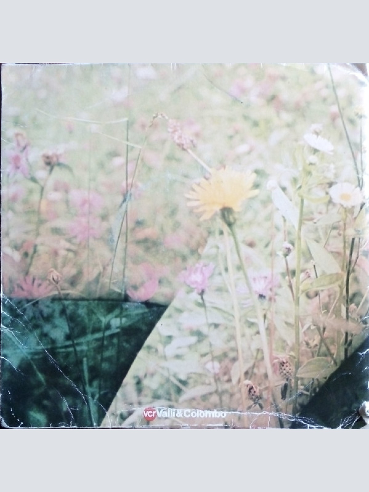 Vinyl / Le Piccole Ore - Spalanca La Porta