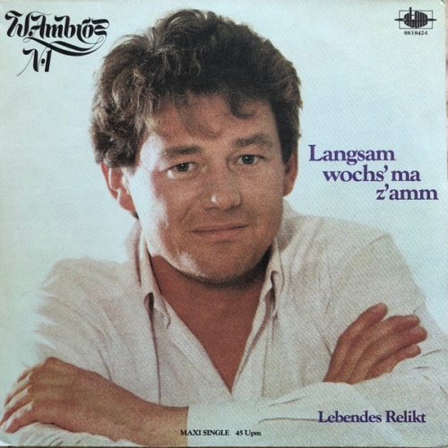 Vinyl / W. Ambros*, № 1* - Langsam Wochs' Ma Z'samm