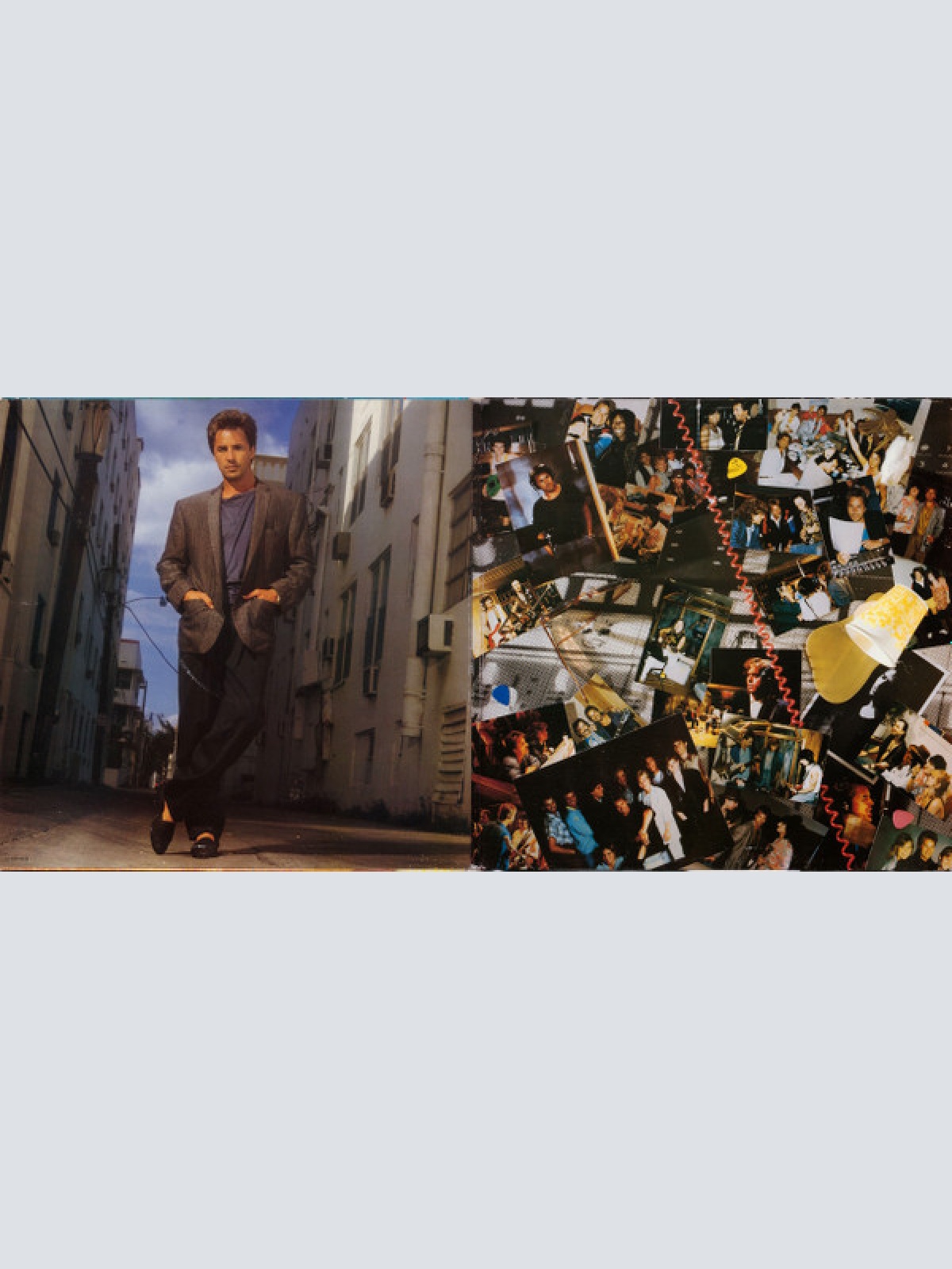 Vinyl / Don Johnson - Heartbeat