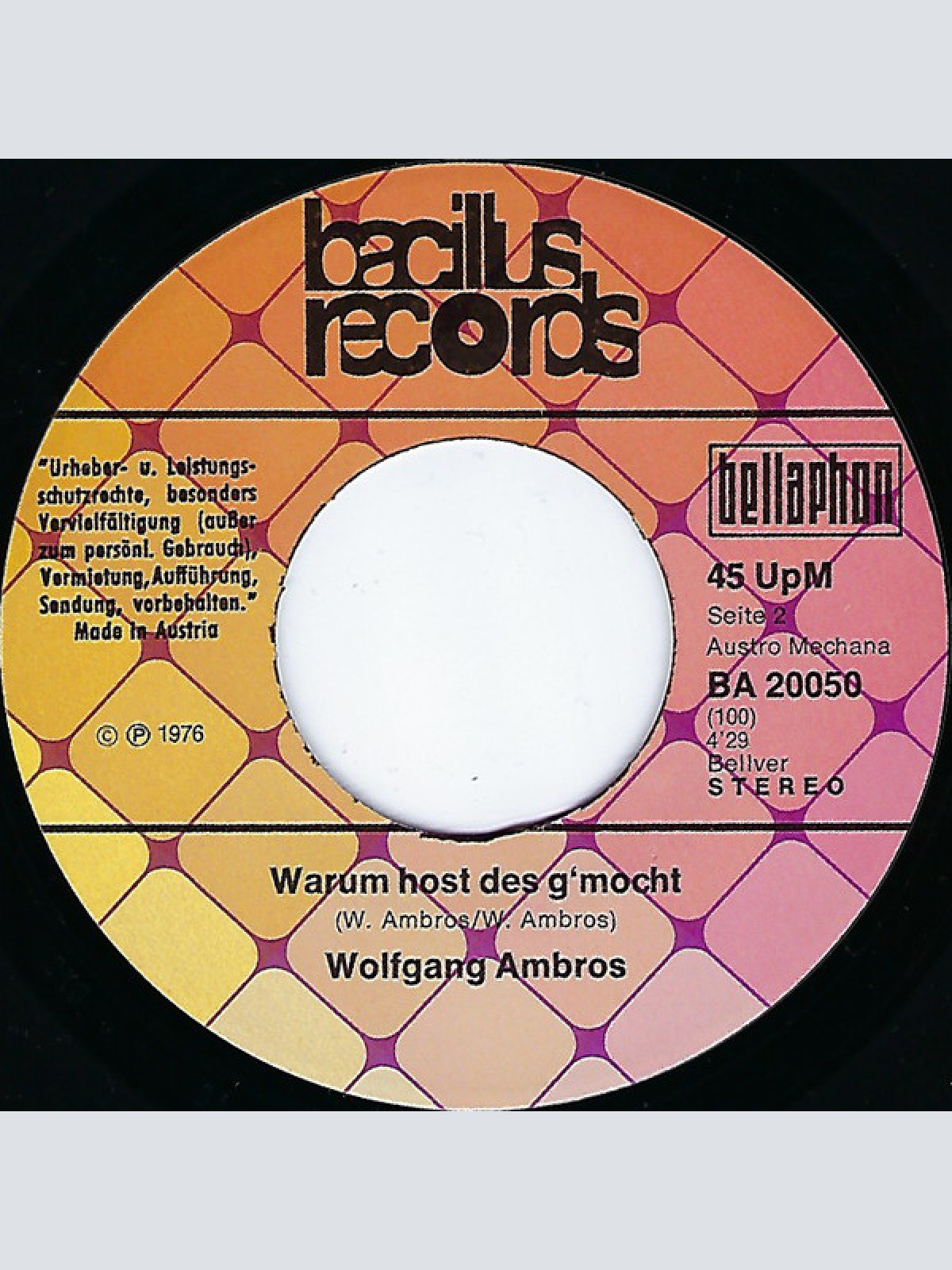 Vinyl / W. Ambros* - Hoit, Do Is A Spoit