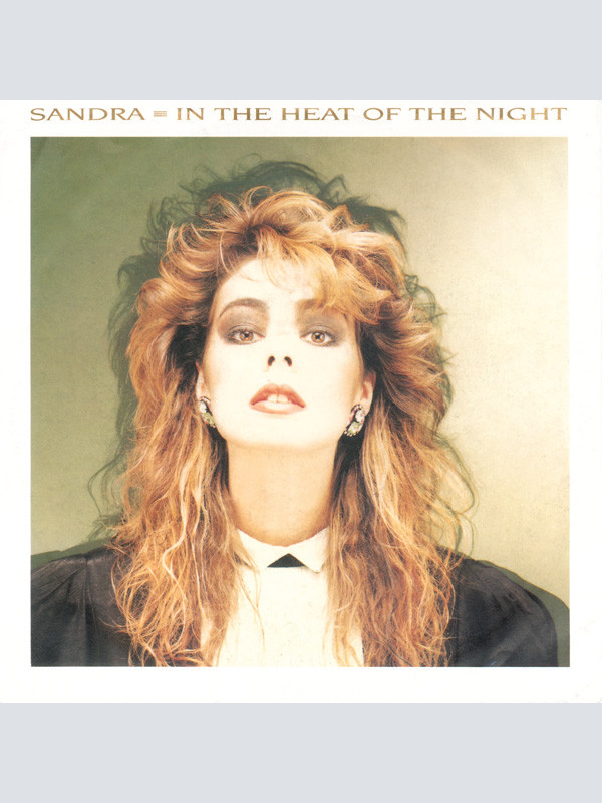 Vinyl / Sandra - In The Heat Of The Night