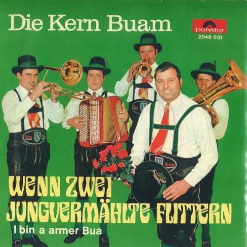 Vinyl / Die Kern Buam - Wenn Zwei Jungvermählte Flittern