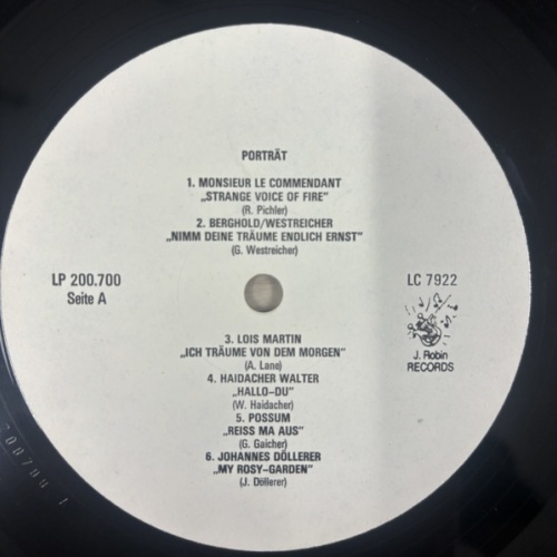 Vinyl / Various - Porträt