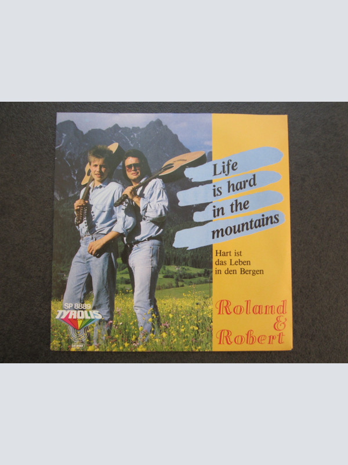 Vinyl / Robert & Roland - Life Is Hard In The Mountains