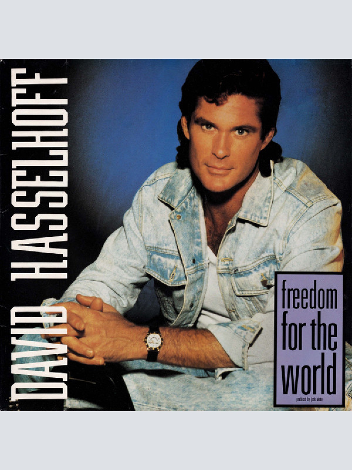 Vinyl / David Hasselhoff - Freedom For The World
