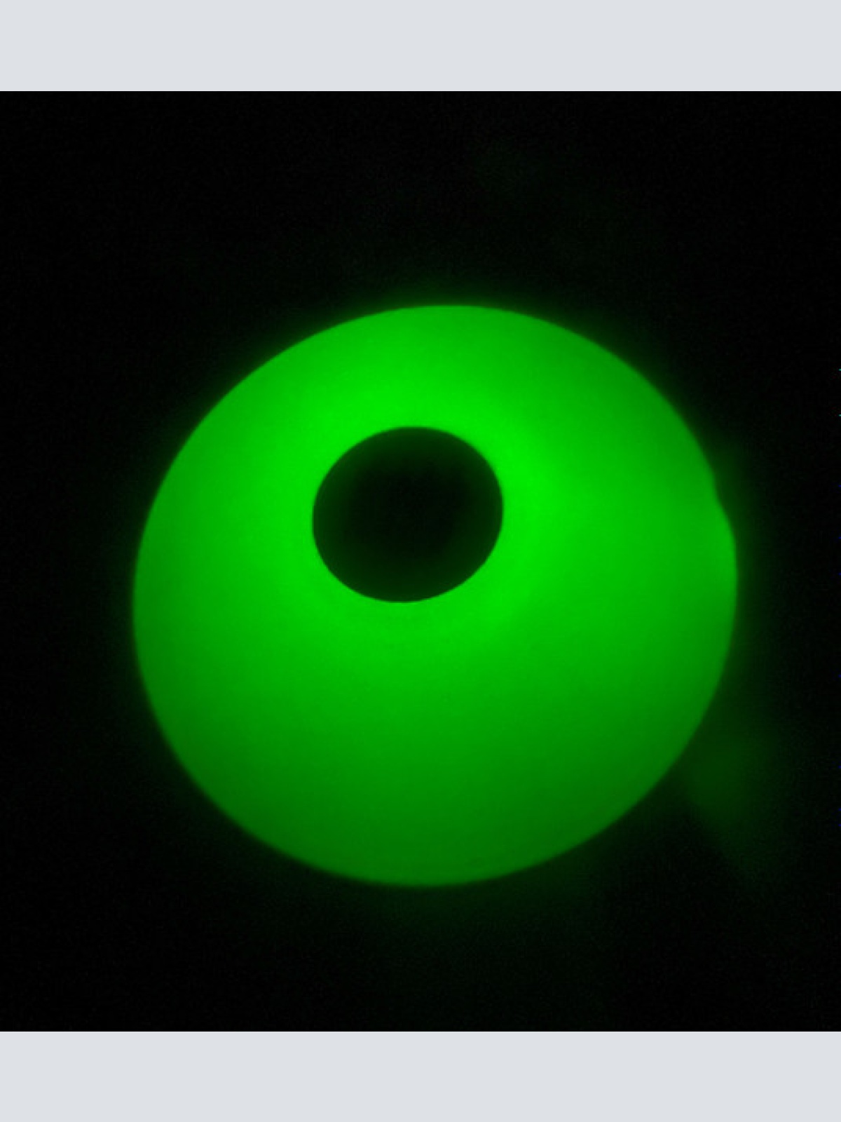 Vinyl / Kraftwerk - Neon Lights