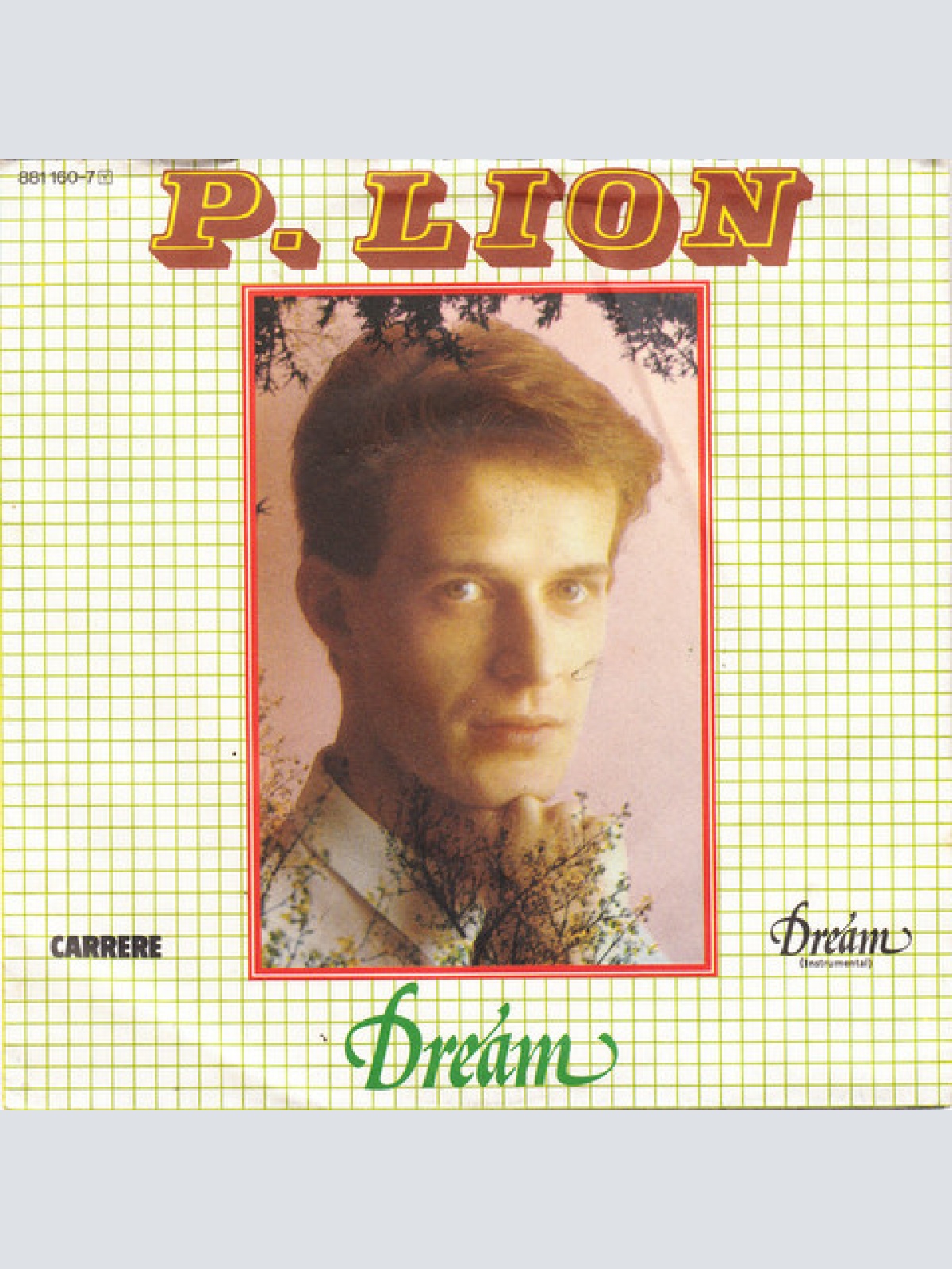 Vinyl / P. Lion - Dream