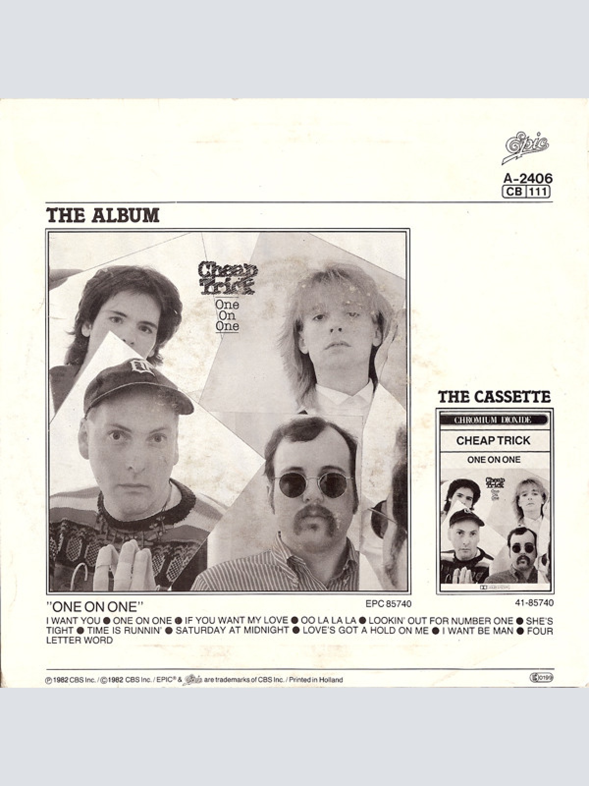 Vinyl / Cheap Trick - If You Want My Love