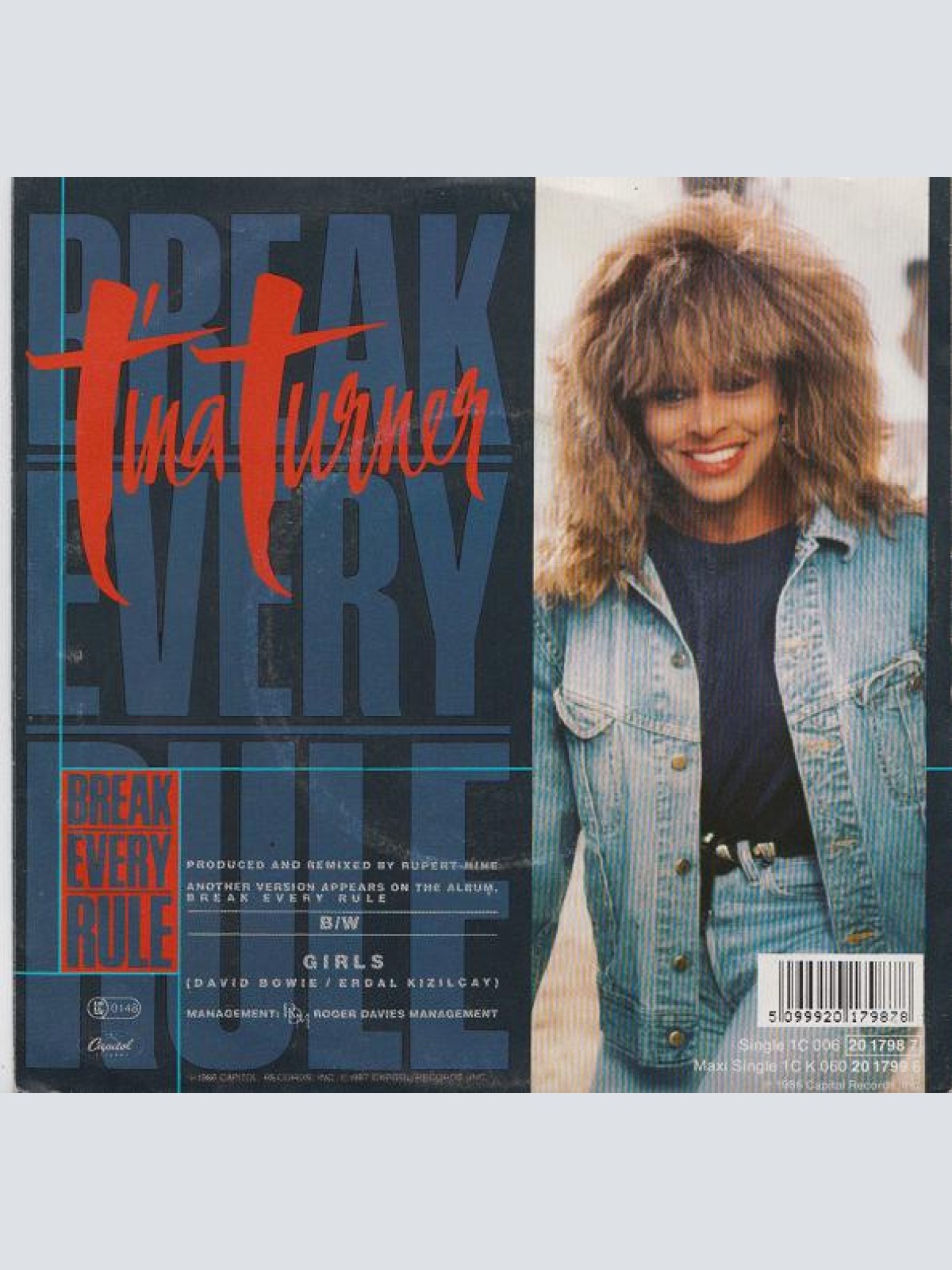 Vinyl / Tina Turner - Break Every Rule