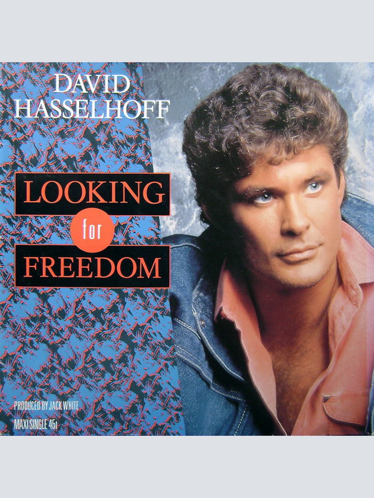 Vinyl / David Hasselhoff - Looking For Freedom