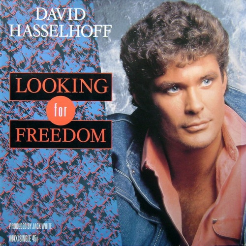 Vinyl / David Hasselhoff - Looking For Freedom