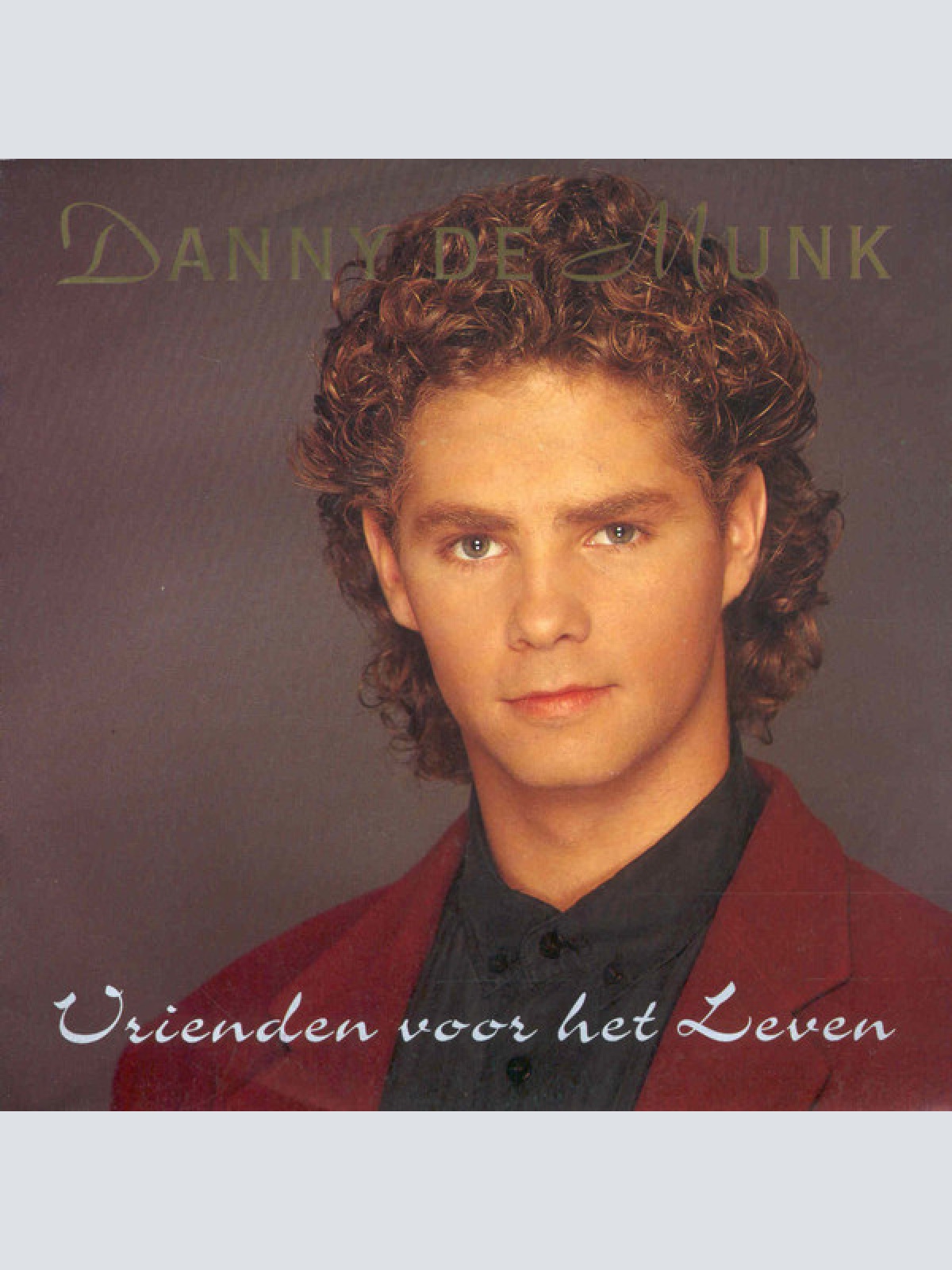 Vinyl / Danny de Munk - Vrienden Voor Het Leven