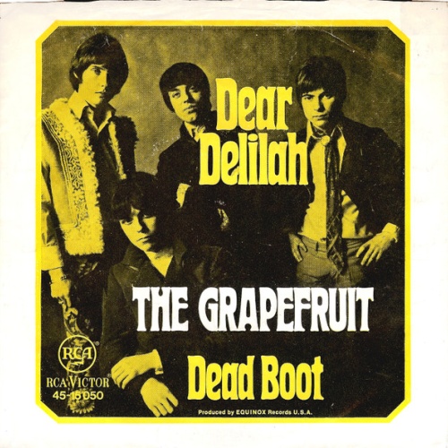Vinyl / The Grapefruit* - Dear Delilah