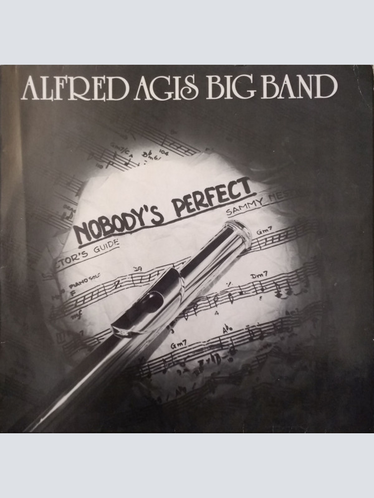 Vinyl / Alfred Agis Big Band - Nobody's Perfect